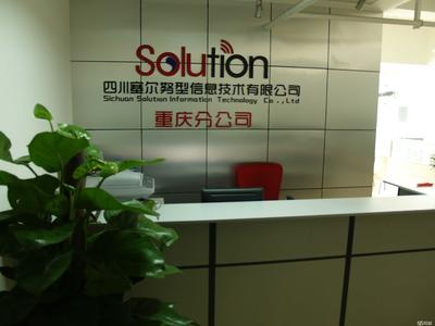 四川塞尔努型信息技术重庆分公司 计算机系统集成解决方案